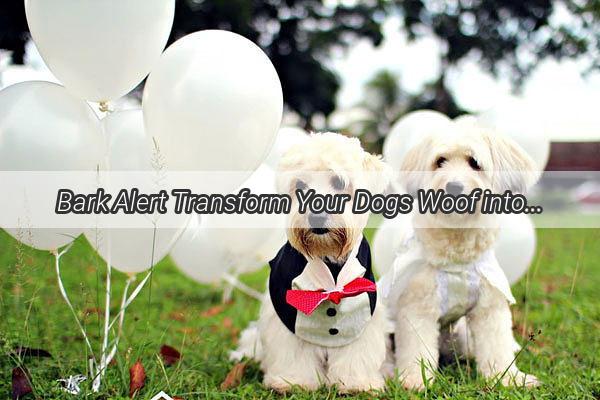 Bark Alert Transform Your Dogs Woof into a Custom Ringtone